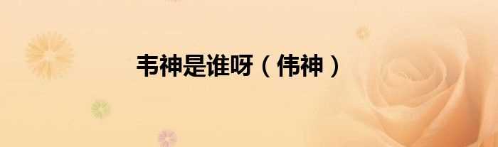 伟神_韦神是谁呀(韦神)