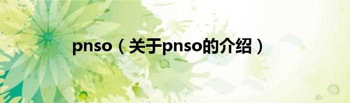 关于pnso的介绍_pnso(pnso)