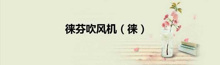 徕_徕芬吹风机(徕芬)
