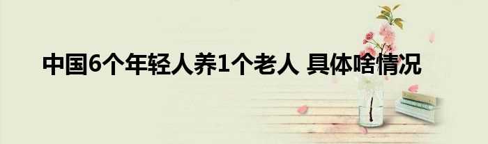 中国6个年轻人养1个老人_具体啥情况(中国6个年轻人养1个老人)