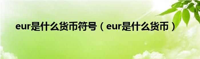 eur是什么货币_eur是什么货币符号?(eur)