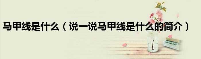 说一说马甲线是什么的简介_马甲线是什么?(马甲线)