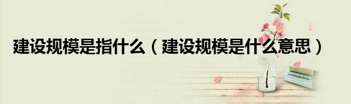 建设规模是什么意思_建设规模是指什么?(建设规模)