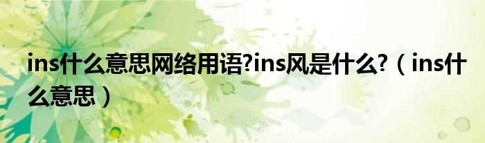 ins什么意思_ins什么意思网络用语?ins风是什么?(ins)