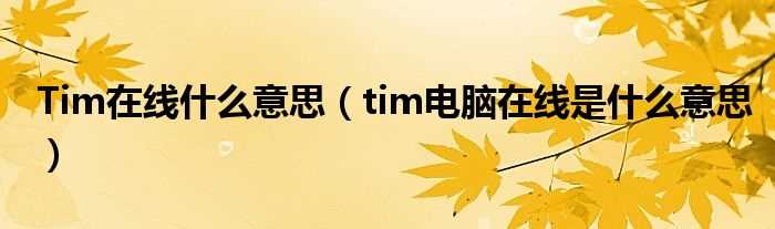tim电脑在线是什么意思_Tim在线什么意思?(tim电脑在线)