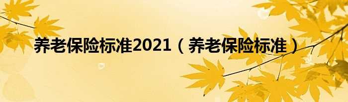 养老保险标准_养老保险标准2021(养老保险)