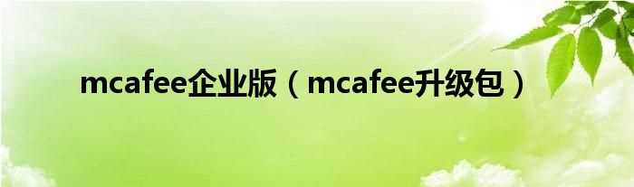 mcafee升级包_mcafee企业版(mcafee升级包)