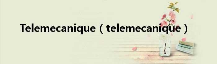 telemecanique_Telemecanique(telemecanique)