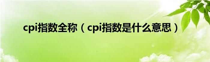 cpi指数是什么意思_cpi指数全称?(cpi指数)