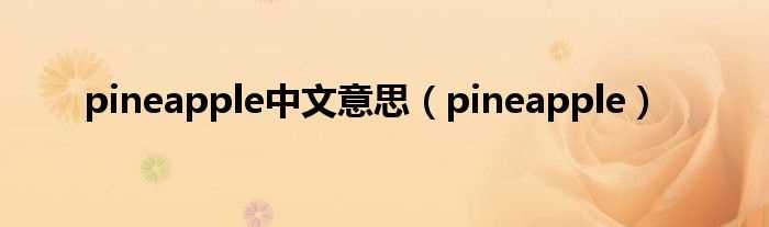 pineapple_pineapple中文意思(pineapple)