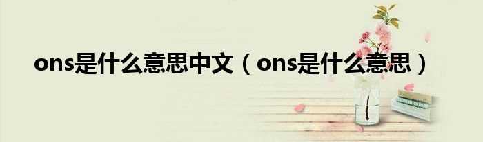 ons是什么意思_ons是什么意思中文?(ons)