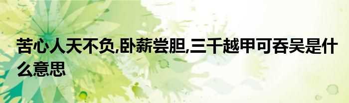 苦心人天不负_卧薪尝胆_三千越甲可吞吴是什么意思?(苦心人天不负)