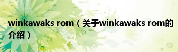关于winkawaks_rom的介绍_winkawaks_rom(winkawaks)