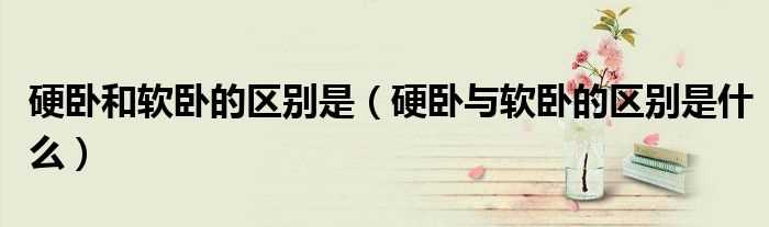 硬卧与软卧的区别是什么_硬卧和软卧的区别是?(软卧)