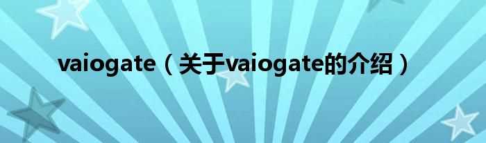 关于vaiogate的介绍_vaiogate(vaio gate)
