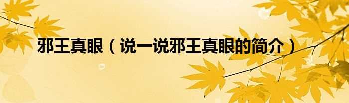 说一说邪王真眼的简介_邪王真眼(邪王真眼)