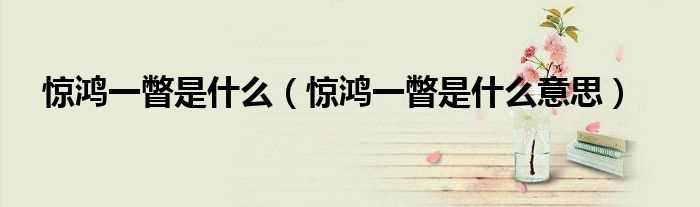 惊鸿一瞥是什么意思_惊鸿一瞥是什么?(惊鸿一瞥)