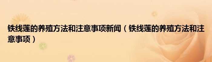 铁线莲的养殖方法和注意事项_铁线莲的养殖方法和注意事项新闻(铁线莲)