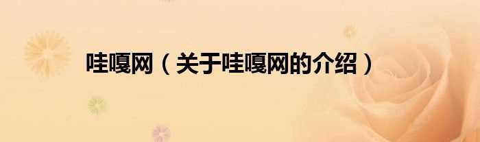 关于哇嘎网的介绍_哇嘎网(哇嘎网)