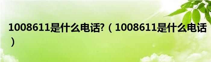 1008611是什么电话_1008611是什么电话?(1008611)