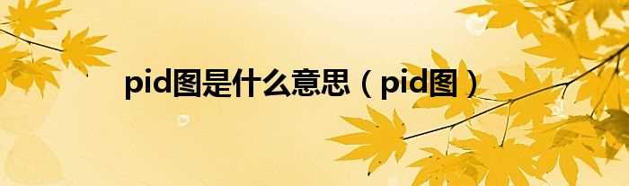pid图_pid图是什么意思?(pid是什么)