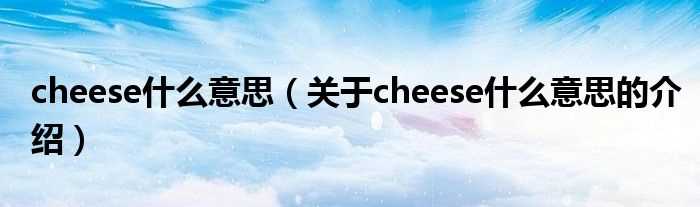 关于cheese什么意思的介绍_cheese什么意思?(cheese)
