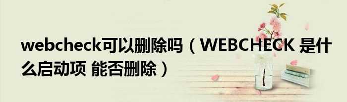 WEBCHECK_是什么启动项_能否删除_webcheck可以删除吗?(webcheck)