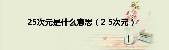 2_5次元_25次元是什么意思?(二点五次元)