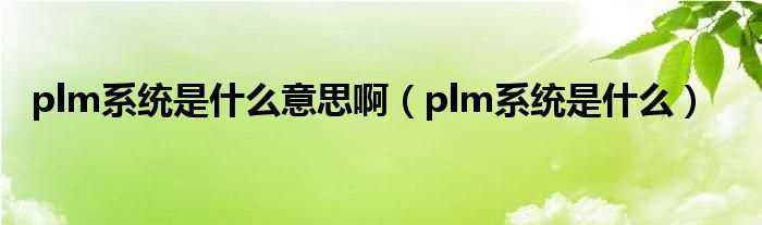 plm系统是什么_plm系统是什么意思啊?(plm)
