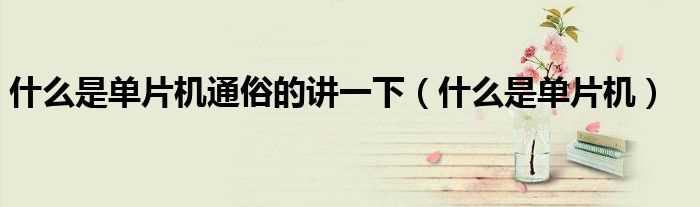 什么是单片机_什么是单片机通俗的讲一下?(单片机)