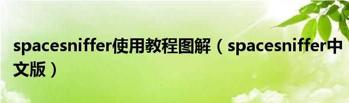 spacesniffer中文版_spacesniffer使用教程图解(spacesniffer)