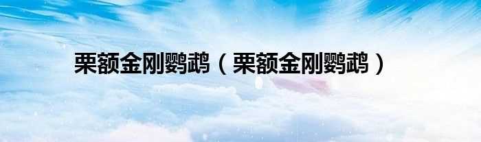 栗额金刚鹦鹉_栗额金刚鹦鹉(栗额金刚鹦鹉)