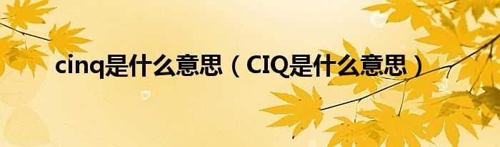 CIQ是什么意思_cinq是什么意思?(ciq)