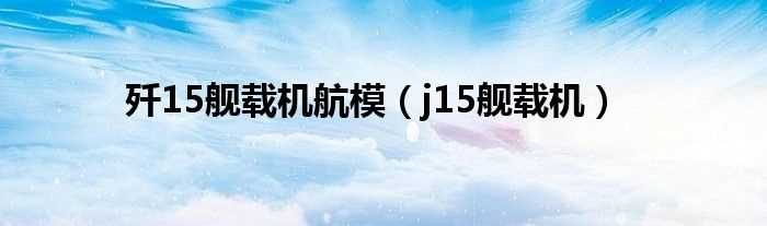 j15舰载机_歼15舰载机航模(歼15)