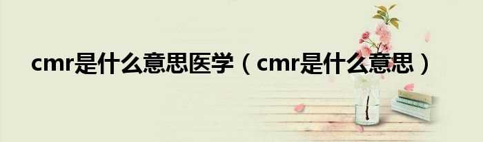 cmr是什么意思_cmr是什么意思医学?(cmr)