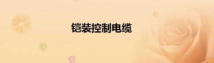 铠装控制电缆(铠装控制电缆)