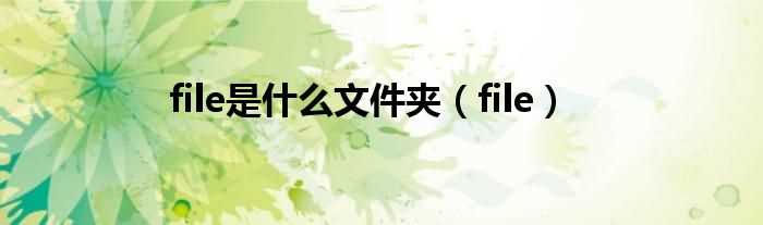 file_file是什么文件夹?(file)