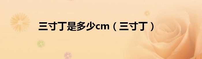 三寸丁_三寸丁是多少cm?(三寸丁)
