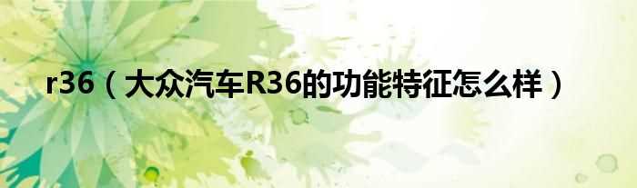 大众汽车R36的功能特征怎么样_r36?(r36)