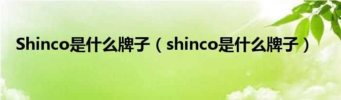 shinco是什么牌子_Shinco是什么牌子?(shinco)