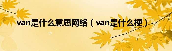 van是什么梗_van是什么意思网络?(van)