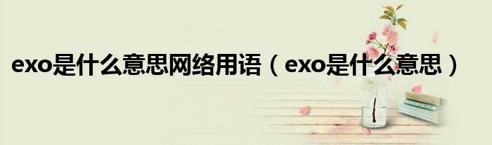 exo是什么意思_exo是什么意思网络用语?(exo是什么意思)