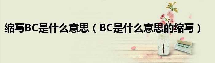 BC是什么意思的缩写_缩写BC是什么意思?(bc是什么意思)