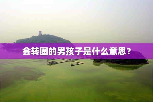 会转圈的男孩子是什么意思？(会转圈的男孩子是什么意思呀)?