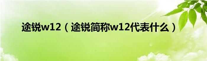 途锐简称w12代表什么_途锐w12?(大众途锐W12)