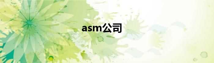 asm公司(asm)