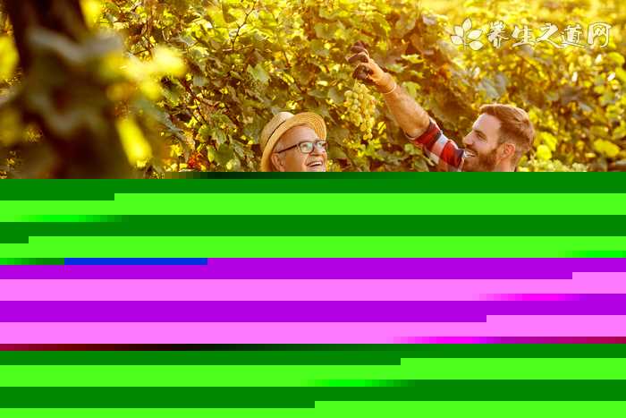 新思域怎么样(全新一代思域怎么样)?(新思域怎么样)