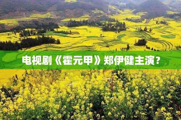 电视剧《霍元甲》郑伊健主演？(电视剧霍元甲郑伊健版风行网)