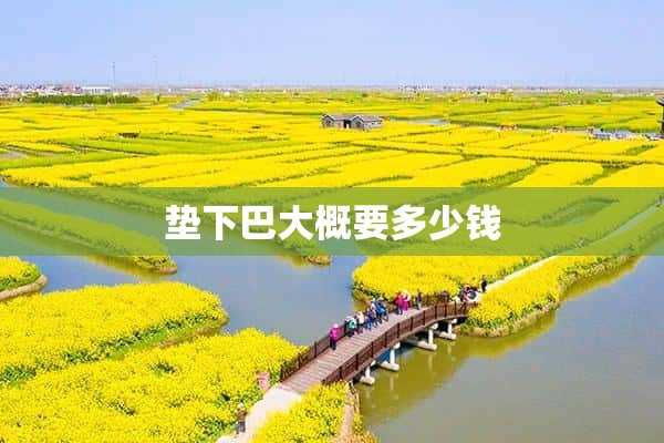 垫下巴大概要多少钱(垫下巴大概需要多少钱)?