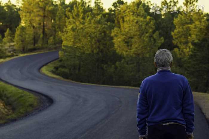 sqr7151a210?名爵CSA7151NDMN多少钱(常用配件负担指数)